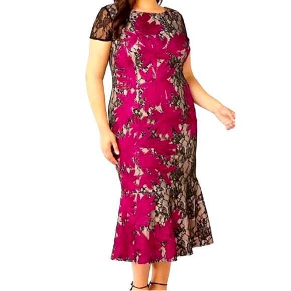 JS Collection Embroidered Lace Midi Dress in Black and Pink - Picture 1 of 12